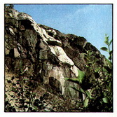 скальные выходы на склонах хибинских гор