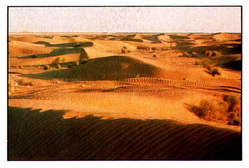 Холмистый рельеф пустыни Кызылкум